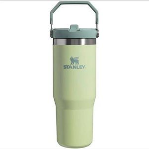 ~Stanley 30 oz Stainless Steel IceFlow Flip Straw Tumbler Pale Lime*Never Used*